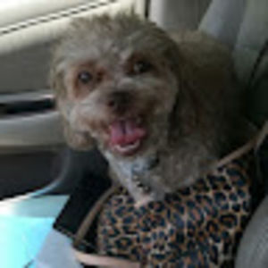 Meet your Posher, Tammy